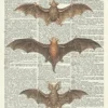 GOTHIC BATS ART PRINT - STEAMPUNK ART PRINT - ART PRINT - WALL ART - Vintage Art Print - Halloween Illustration - Picture - Vintage Dictionary Art Print - Wall Hanging - Home Décor - Housewares - Book Print - Wall Art 410Df steampunk buy now online