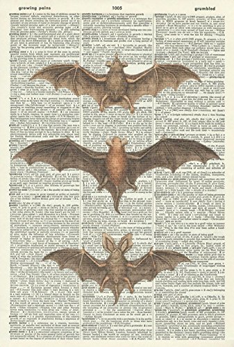 GOTHIC BATS ART PRINT - STEAMPUNK ART PRINT - ART PRINT - WALL ART - Vintage Art Print - Halloween Illustration - Picture - Vintage Dictionary Art Print - Wall Hanging - Home Décor - Housewares - Book Print - Wall Art 410Df steampunk buy now online