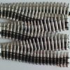 Greenzone ® Silver Snap Cap 5.56 Bullet Belt (Large 56" / 142 cm) - UK Company steampunk buy now online
