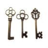 Makhry Mixed Pack of 30 Vintage Retro Rustic Skeleton Keys in Antique Bronze Color,3 Style,30 pcs Rustic Wedding Favor(Antique Bronze) steampunk buy now online