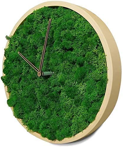 TIANYOU Wall Clock, Circular Creative Minimalism Moss Silent Operable Home Kitchen Office Clock Decorative Clock/B steampunk buy now online