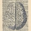 HUMAN BRAIN ART PRINT - ANATOMY ARTWORK - VINTAGE ART PRINT - ART - Illustration - GIFT - Vintage Dictionary Art Print - Wall Hanging - Home Décor - Housewares - Book Print - 370Bf steampunk buy now online