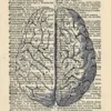 HUMAN BRAIN ART PRINT - ANATOMY ARTWORK - VINTAGE ART PRINT - ART - Illustration - GIFT - Vintage Dictionary Art Print - Wall Hanging - Home Décor - Housewares - Book Print - 370Bf steampunk buy now online