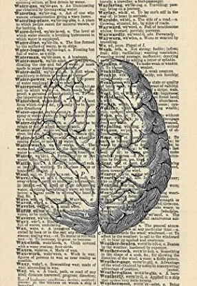 HUMAN BRAIN ART PRINT - ANATOMY ARTWORK - VINTAGE ART PRINT - ART - Illustration - GIFT - Vintage Dictionary Art Print - Wall Hanging - Home Décor - Housewares - Book Print - 370Bf steampunk buy now online