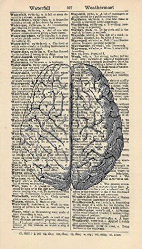 HUMAN BRAIN ART PRINT - ANATOMY ARTWORK - VINTAGE ART PRINT - ART - Illustration - GIFT - Vintage Dictionary Art Print - Wall Hanging - Home Décor - Housewares - Book Print - 370Bf steampunk buy now online