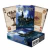 AQUARIUS NMR52330 Harry Potter Card Game, Multicolor, Single steampunk buy now online