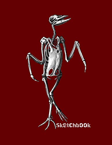 SKETCHBOOK: 8.5X11 EXTRA LARGE : 100 PAGES : GROOVY SKELETON SKULLS BLANK BOOK FOR ARTISTS STEAMPUNK SCIENCE steampunk buy now online
