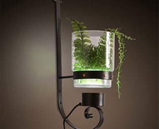 LED Wall Light Indoor Lighting Modern Minimalist Creative Personality DIY Green Plant Iron Wall Lamp with Button Switch and Plug Wire for Living Room Bedroom Corridor (Contains GX53 Yellow Light) steampunk buy now online