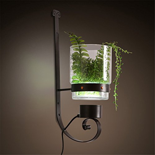 LED Wall Light Indoor Lighting Modern Minimalist Creative Personality DIY Green Plant Iron Wall Lamp with Button Switch and Plug Wire for Living Room Bedroom Corridor (Contains GX53 Yellow Light) steampunk buy now online