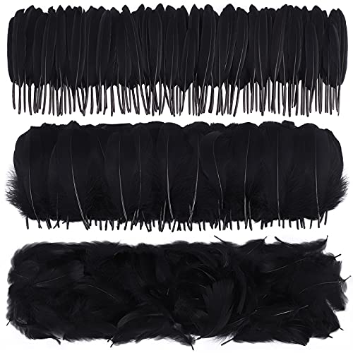 durony 300 Pieces Features Natural Colored Crafts Feathers DIY Dream Catchers Feathers Craft Feathers for DIY Crafts Decorations, Black steampunk buy now online