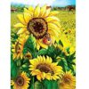 MXJSUA DIY 5D Diamond Painting Kits Full Drill Round Crystal Rhinestone Pictures Arts Craft for Home Wall Decor Gift Sunflower 30x40cm steampunk buy now online