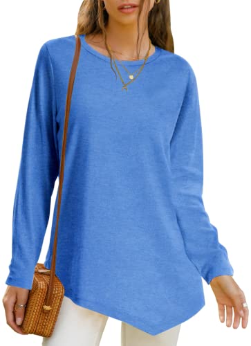 Xpenyo Women Loose Sweatshirt Crew Neck Long Sleeve Tops Basic Jumper Tunic Blouse Shirts Plus Size Tops for Winter Ocean Blue L steampunk buy now online
