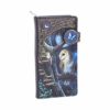 Nemesis Now B4864P9 Lisa Parker Fairy and Owl Purse 18.5cm, PU, Black, One Size steampunk buy now online