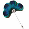 TOYANDONA Peacock Feather Brooch Alloy Rhinestone Brooch Pin for Women Wedding Dressup Jewelry Party Lapel Clothing Decoration(Assorted Color) steampunk buy now online