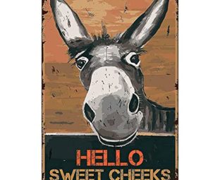 Hello Sweet Cheeks Metal Sign, Funny Vintage Tin Signs Wall Art, Retro Donkey signs and Plaques Poster for Home Bathroom Kitchen Cafe Bar Wall Decor steampunk buy now online
