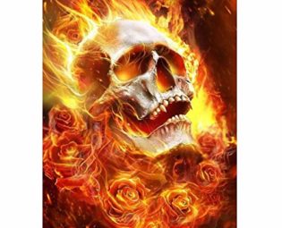 MXJSUA DIY 5D Diamond Painting Full Round Drill Kit Diamond Painting Arts Kits for Adults Gem Arts Painting Rhinestone Picture Art Craft for Home Wall Decor 30x40cm Flame Skull steampunk buy now online