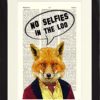Funny Toilet Sign Steampunk Fox Animal No Selfies in Loo. Dictionary Art Print. Framed Dictionary Art Print Poster for Bathroom printed on a Vintage Book Page. Presented in a Black Wood Frame steampunk buy now online