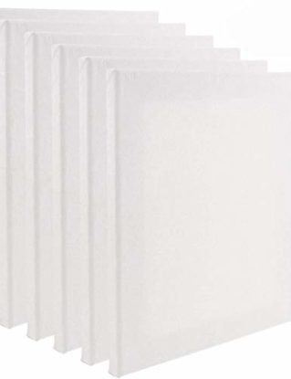 Tebery Set of 6 Artist Blank Canvas Frame Stretcher Acrylic Oil Water Painting Board 30x40cm steampunk buy now online