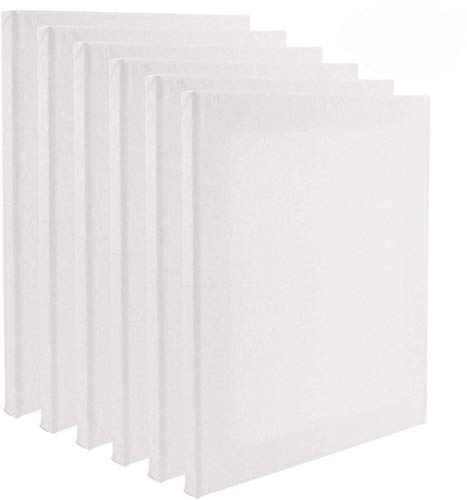 Tebery Set of 6 Artist Blank Canvas Frame Stretcher Acrylic Oil Water Painting Board 30x40cm steampunk buy now online