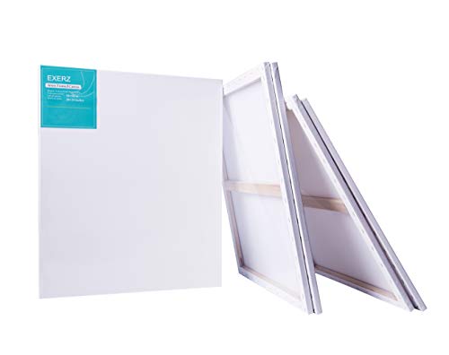 Exerz 50x60cm Pre-Stretched Canvas 4pk - 1.7cm Artist Framed Canvas Blank/ 280GSM 100% Cotton/Triple Primed/Acid Free/Medium Grain/Professional Artist Acrylic Paint, Oil Paint steampunk buy now online