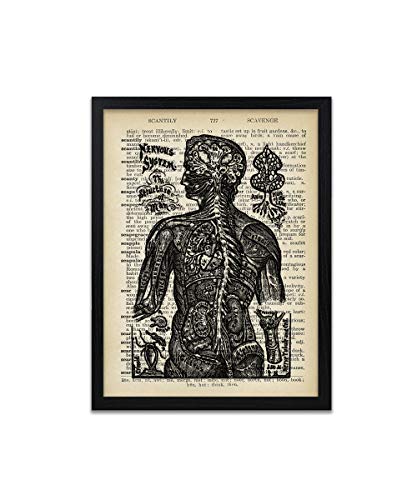 Nervous System Print - Scientific Art Prints - Steampunk Poster - Vintage Dictionary Wall Art - Anatomy Print - Frame Not Included steampunk buy now online