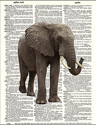 Dictionary Font African Elephant Steampunk Vintage Writer Motivation Print Poster Wall Art Image Picture A4 + steampunk buy now online