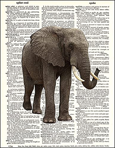 Dictionary Font African Elephant Steampunk Vintage Writer Motivation Print Poster Wall Art Image Picture A4 + steampunk buy now online