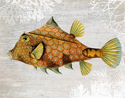 CANVAS-FRAMED-with-AMERICAN-BOX Gold Turret Fish Fab Funky - Whimsical horizontal Art print steampunk silly funky fabulous Floating frame 21_X_27_in steampunk buy now online