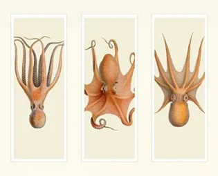 CANVAS-FRAMED-with-AMERICAN-BOX Trio of Octopus on 3 Panels Fab Funky - Whimsical horizontal Art print steampunk silly funky fabulous Floating frame 21_X_27_in steampunk buy now online