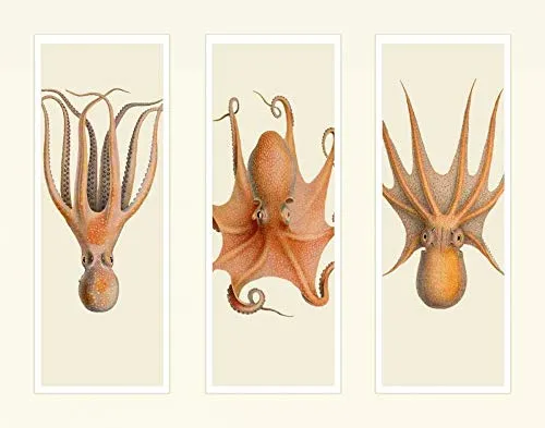 CANVAS-FRAMED-with-AMERICAN-BOX Trio of Octopus on 3 Panels Fab Funky - Whimsical horizontal Art print steampunk silly funky fabulous Floating frame 21_X_27_in steampunk buy now online