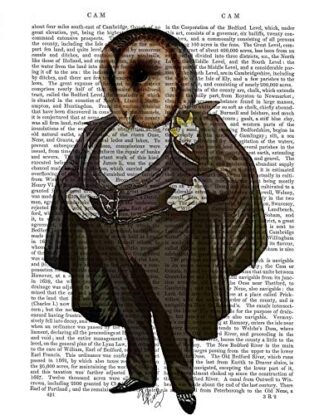 CANVAS-FRAMED-with-AMERICAN-BOX Owl At the Opera Fab Funky - Animals & Nature vertical Art print steampunk animals flowers antique contemporary flo Floating fr 27_X_21_in steampunk buy now online