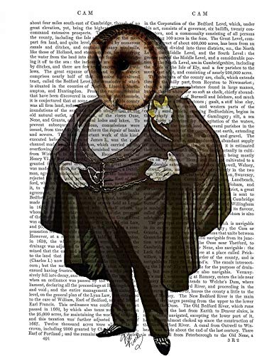 CANVAS-FRAMED-with-AMERICAN-BOX Owl At the Opera Fab Funky - Animals & Nature vertical Art print steampunk animals flowers antique contemporary flo Floating fr 27_X_21_in steampunk buy now online
