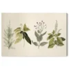 Art Remedy Branch Selection Canvas Vintage Floral Print, Gallery Wrapped, 30 x 20 steampunk buy now online