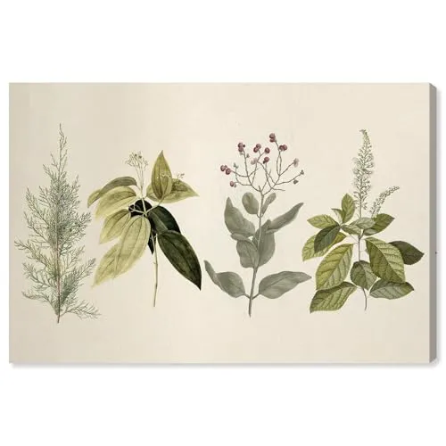 Art Remedy Branch Selection Canvas Vintage Floral Print, Gallery Wrapped, 30 x 20 steampunk buy now online
