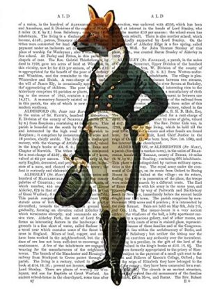 CANVAS-FRAMED-with-AMERICAN-BOX Dandy Fox Full Fab Funky - Animals & Nature vertical Art print steampunk animals flowers antique contemporary flo Floating fram 27_X_21_in steampunk buy now online