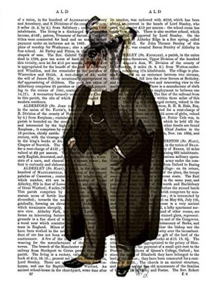 CANVAS-FRAMED-with-AMERICAN-BOX Schnauzer Lawyer Fab Funky - Animals vertical Art print steampunk animals flowers antique contemporary flo Floating frame 27_X_21_in steampunk buy now online