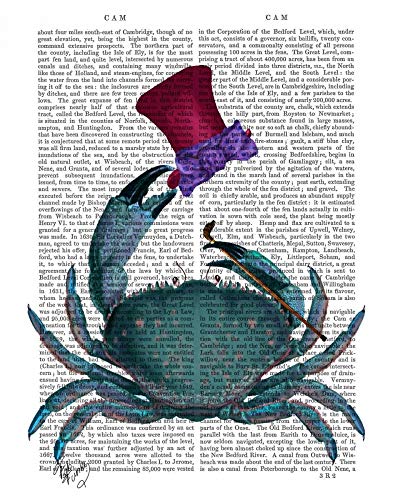 CANVAS-FRAMED-with-AMERICAN-BOX The Dandy Crab Fab Funky - Tropical vertical Art print steampunk animals flowers antique contemporary flo Floating frame 27_X_21_in steampunk buy now online