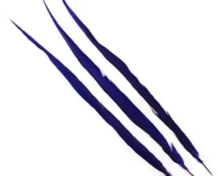 Zucker 3pc Bleached - Dyed Pheasant Feather Craft Supplies - 25-30 inch (Regal Purple) steampunk buy now online